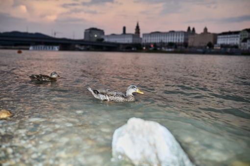 FdR*27 – Festival der Regionen