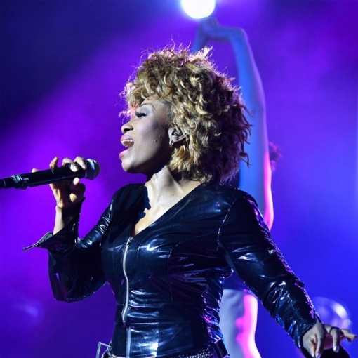 Simply the Best – Die Tina Turner Story