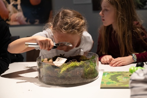 Ferienprogramm: Im Moos viel los