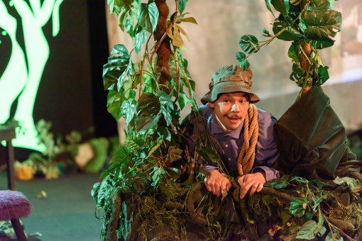 Die Reise zum Mittelpunkt des Waldes