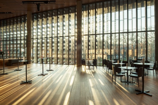 Topolina beim Frisör