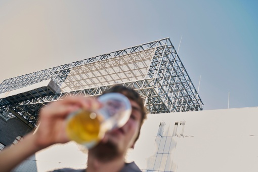 Doris Walaschek: Pax Pace