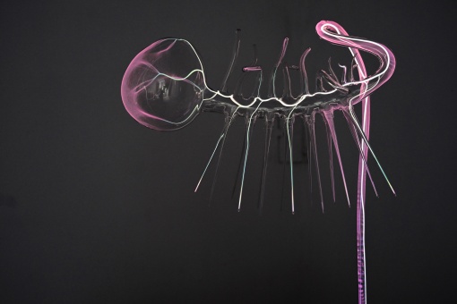 The World Wit­hout Us