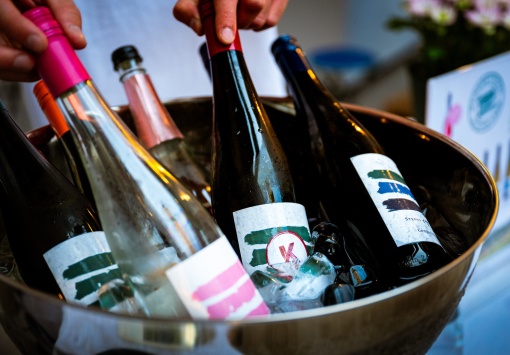 Linzer Weinfrühling 2026