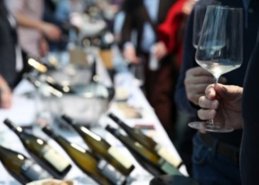 Weinliebe: Weingut Schiefermair