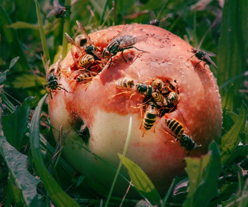 WHAT A NIGHT! Freitag: Fotografie & Feiern