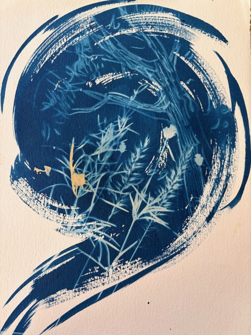 Cyanotypie – Zeichnen mit Licht