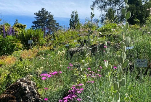 Mario Plöchl: Von den Alpen bis zum Himalaya