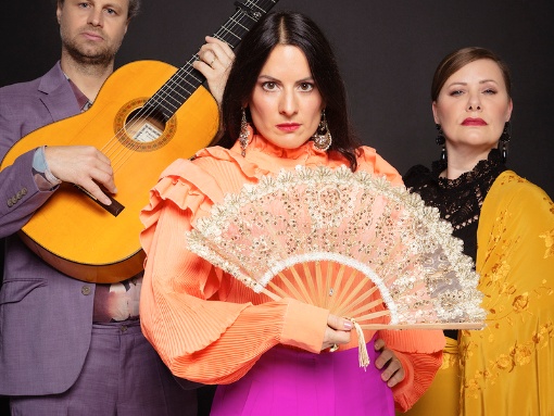 Flamenco: Colores del baile, cante y toque