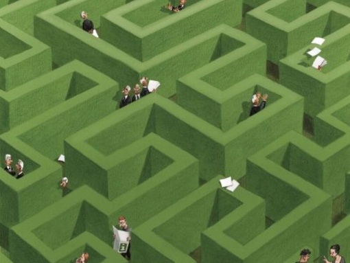 Kaktus Cartoon Award: Die Lösung