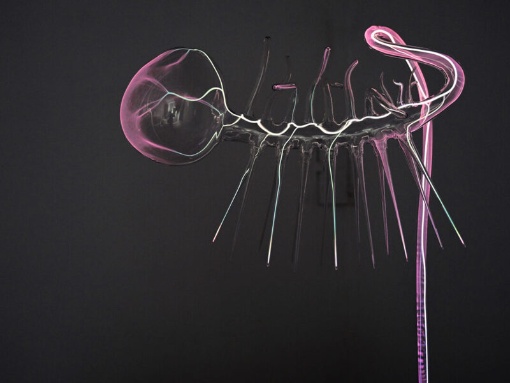 The World Wit­hout Us: Filmabend Moviemento