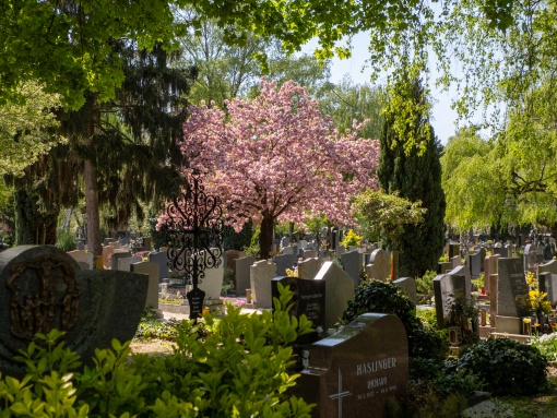 Friedhofsführung mit Gebärdensprachdolmetsch