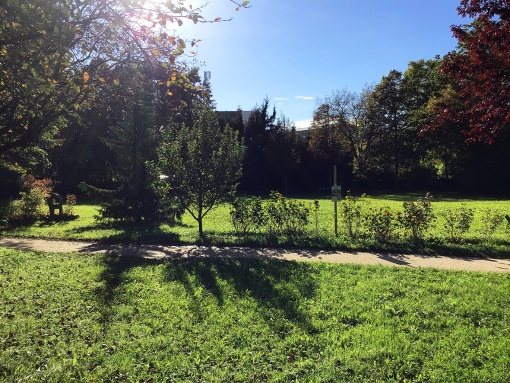 im GEHspräch: nördlich der Donau - grün und (noch) nicht verbaut