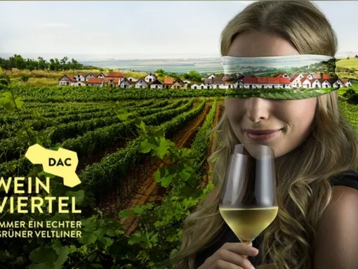 Weinviertel DAC Weinverkostung 2026