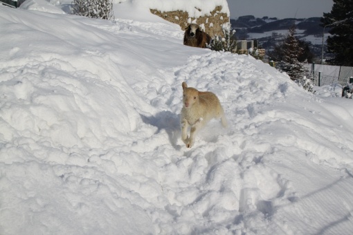 Auf Weltreise mit dem Zoo Linz