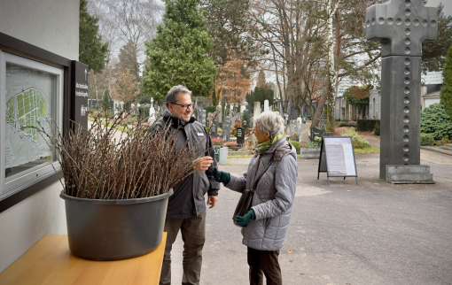Barbarazweig zum Mitnehmen