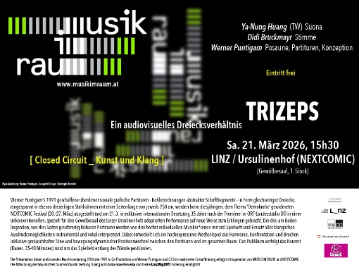 TRIZEPS - Ein audiovisuelles Dreiecksverhältnis