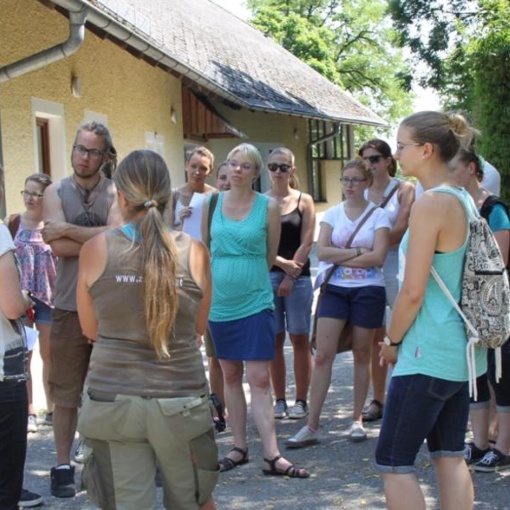 Exklusive Zoo-Führung für Erwachsene