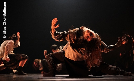 Institute of Dance Arts der Bruckner Uni